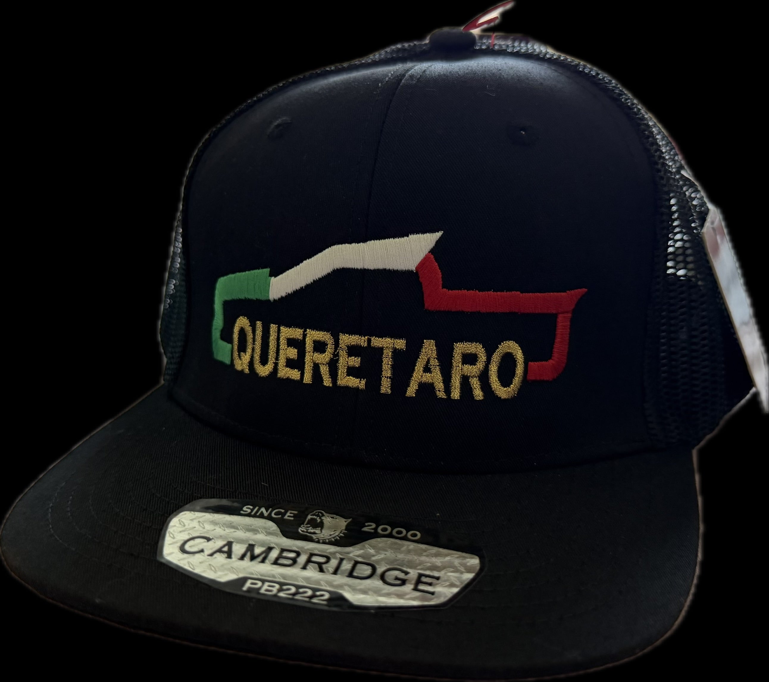 SnapBack Querétaro Tricolor Truck Mesh