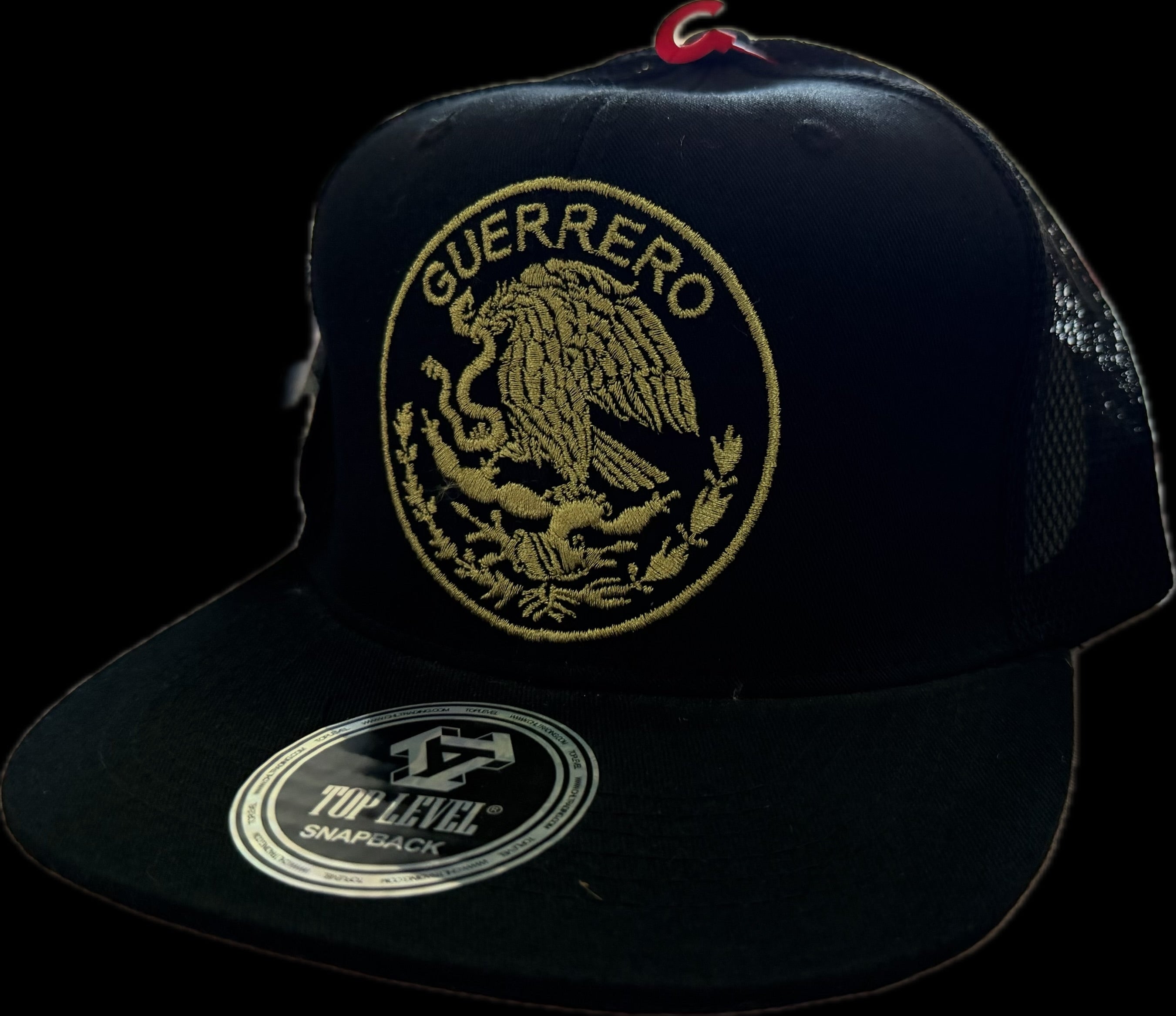 SnapBack Guerrero Mesh